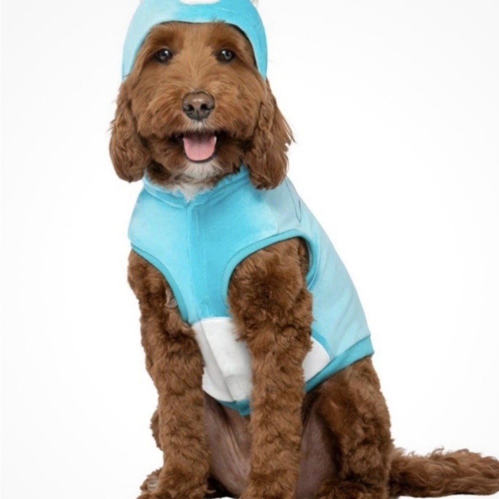 Blue Dog Costume